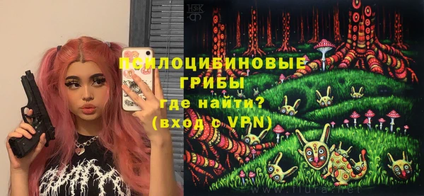синтетический гашиш Медвежьегорск