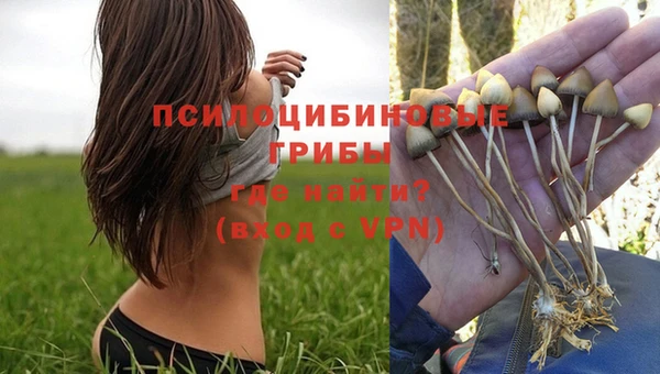 кристаллы Медногорск