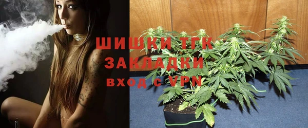 PSILOCYBIN Тында