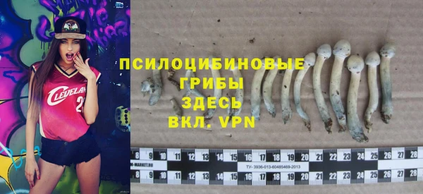 синтетический гашиш Медвежьегорск