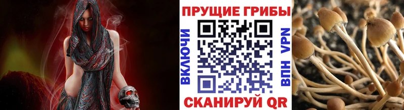 Псилоцибиновые грибы прущие грибы  hydra рабочий сайт  Суоярви 